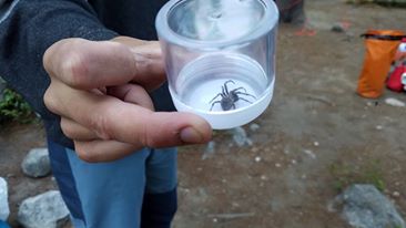 14102566_10101812011616250_3928918293616394397_n