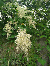 IMG_20180606_191355105